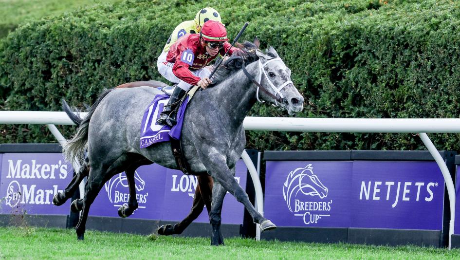 Caravel, 2022 Breeders’ Cup Turf Sprint, Keeneland, Pennsylvania-bred, Elizabeth M. Merryman, Eclipse Sportswire